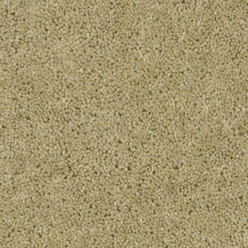 Desso tapijt Excellent B155 274 E1 400cm